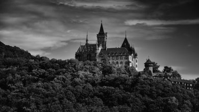 Photo of SCD的4个黑骑士：当饮食疗法没用的时候怎么办？